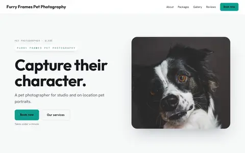 Furry Frames Pet Photography in the Bright Minimal direction