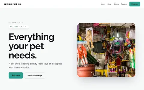 Whiskers & Co. in the Bright Minimal direction